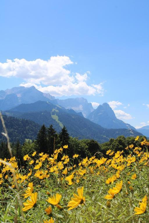 Pfeiffer Alm Am Sonnenhang Mit Blick Auf Die Zugspitze Garmisch-Partenkirchen Eksteriør billede